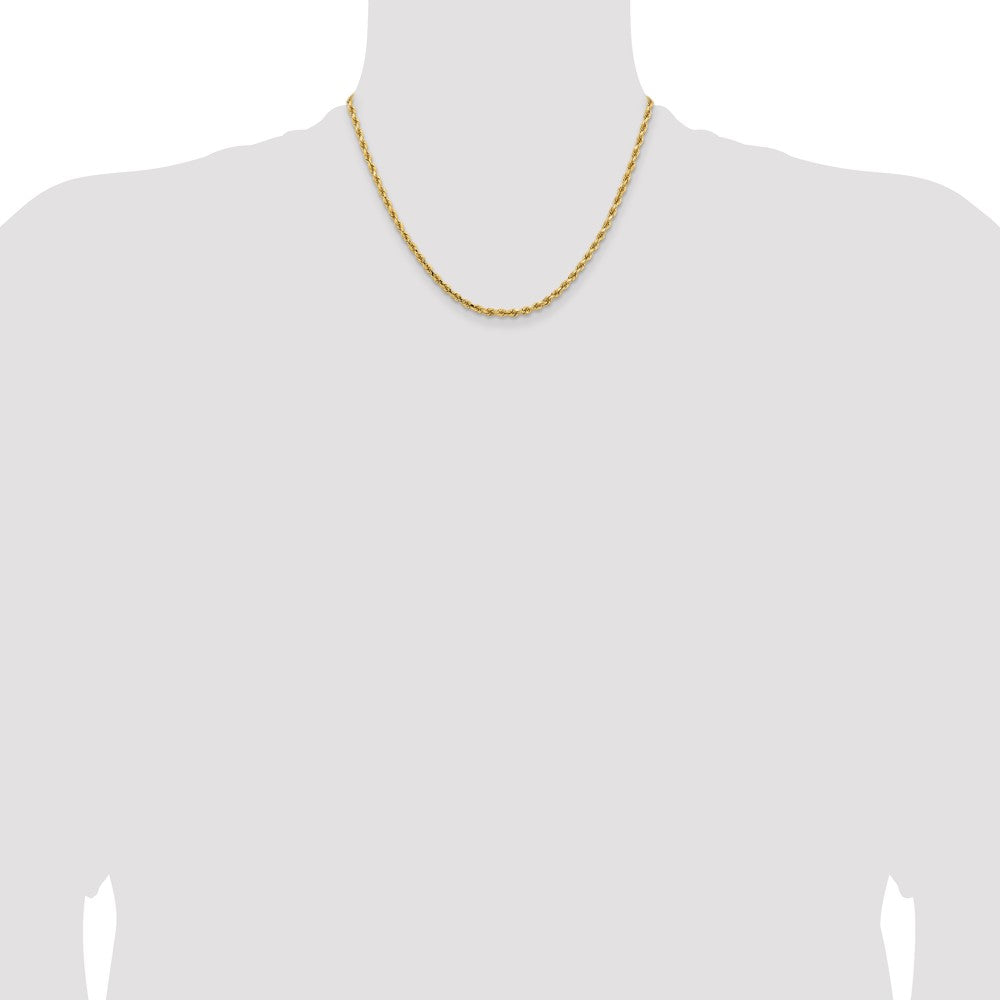 14k Yellow Gold 3.25mm Diamond-cut Rope with Lobster Clasp Chain Necklace