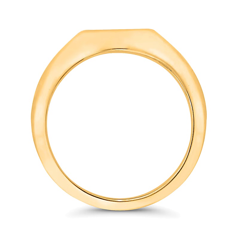 Diamond Accent Solitaire North Star Signet Ring in 10K Gold