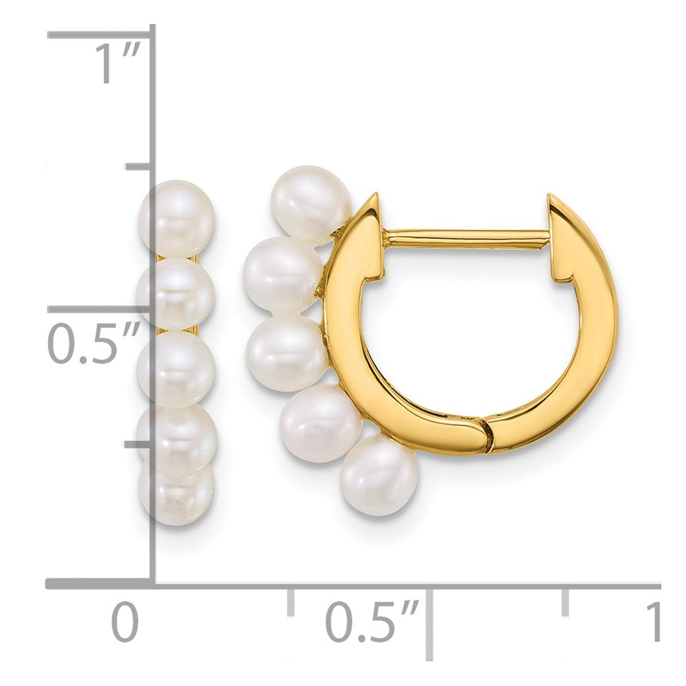 14K Yellow Gold Polished 3-4mm Rice South Sea Saltwater Cultured Pearl Hinged Hoop Earrings