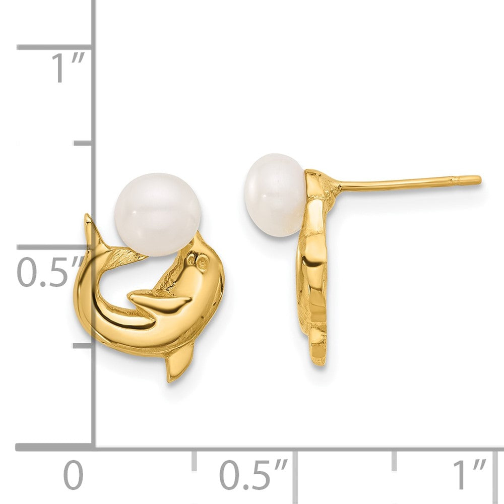 14K Yellow Gold 5-6mm Button Freshwater Cultured Pearl Dolphin Post Earrings