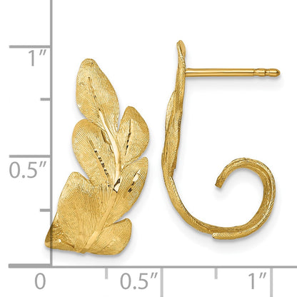 14K Yellow Gold Brushed And Textured Curled Leaf Post Earrings
