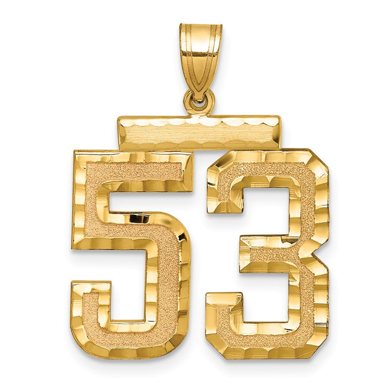 10K Yellow Gold Large Brushed Diamond-cut Number 53 Charm