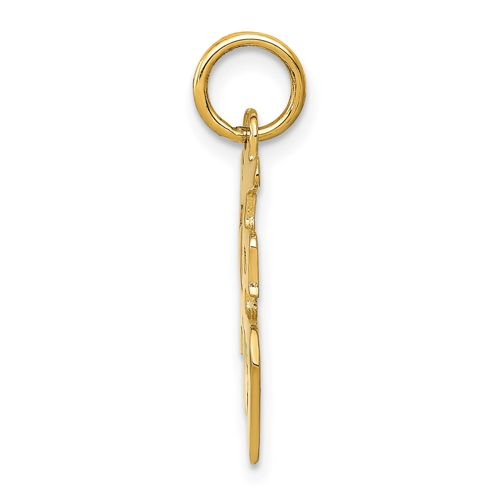10K Yellow Gold Good Luck Charm