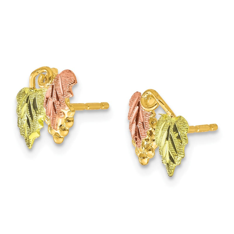 10k Tri Color Tri-color Black Hills Gold Post Earrings