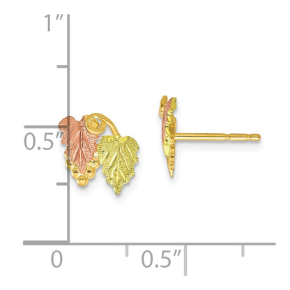10k Tri Color Tri-color Black Hills Gold Post Earrings