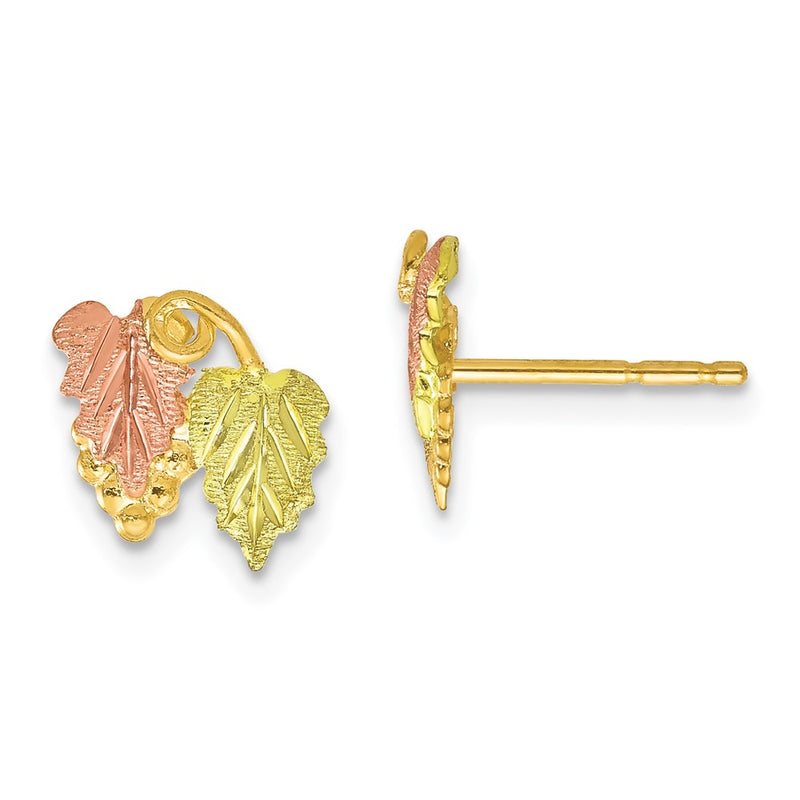 10k Tri Color Tri-color Black Hills Gold Post Earrings