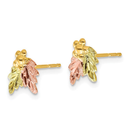 10k Tri Color Tri-color Black Hills Gold Post Earrings