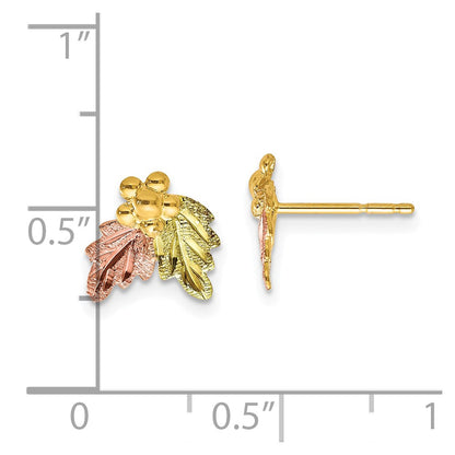 10k Tri Color Tri-color Black Hills Gold Post Earrings