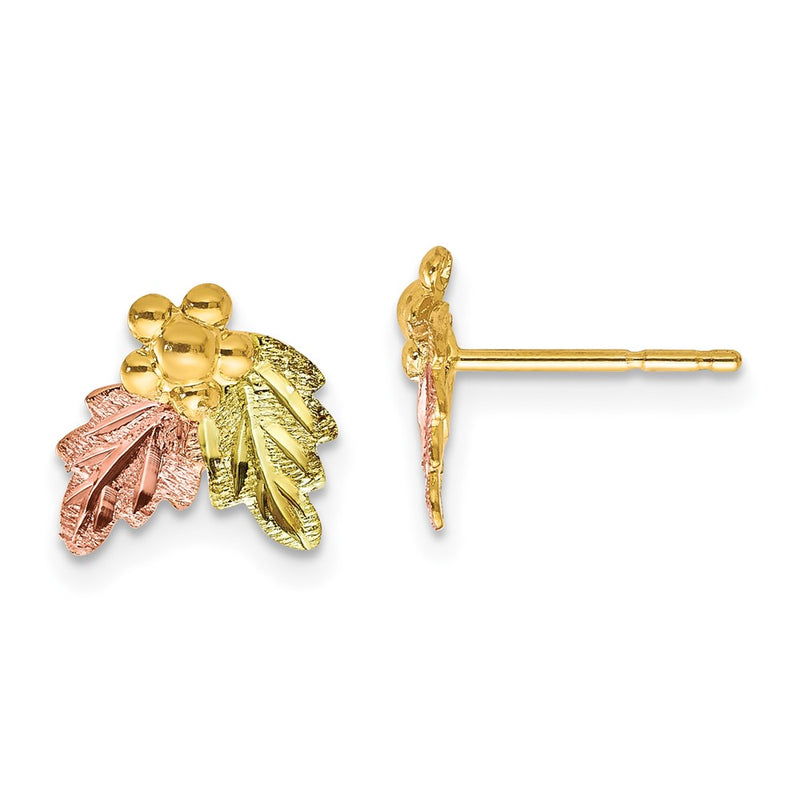 10k Tri Color Tri-color Black Hills Gold Post Earrings