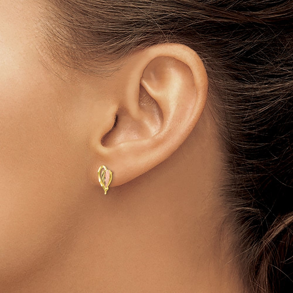 10k Tri Color Tri-color Black Hills Gold Post Earrings