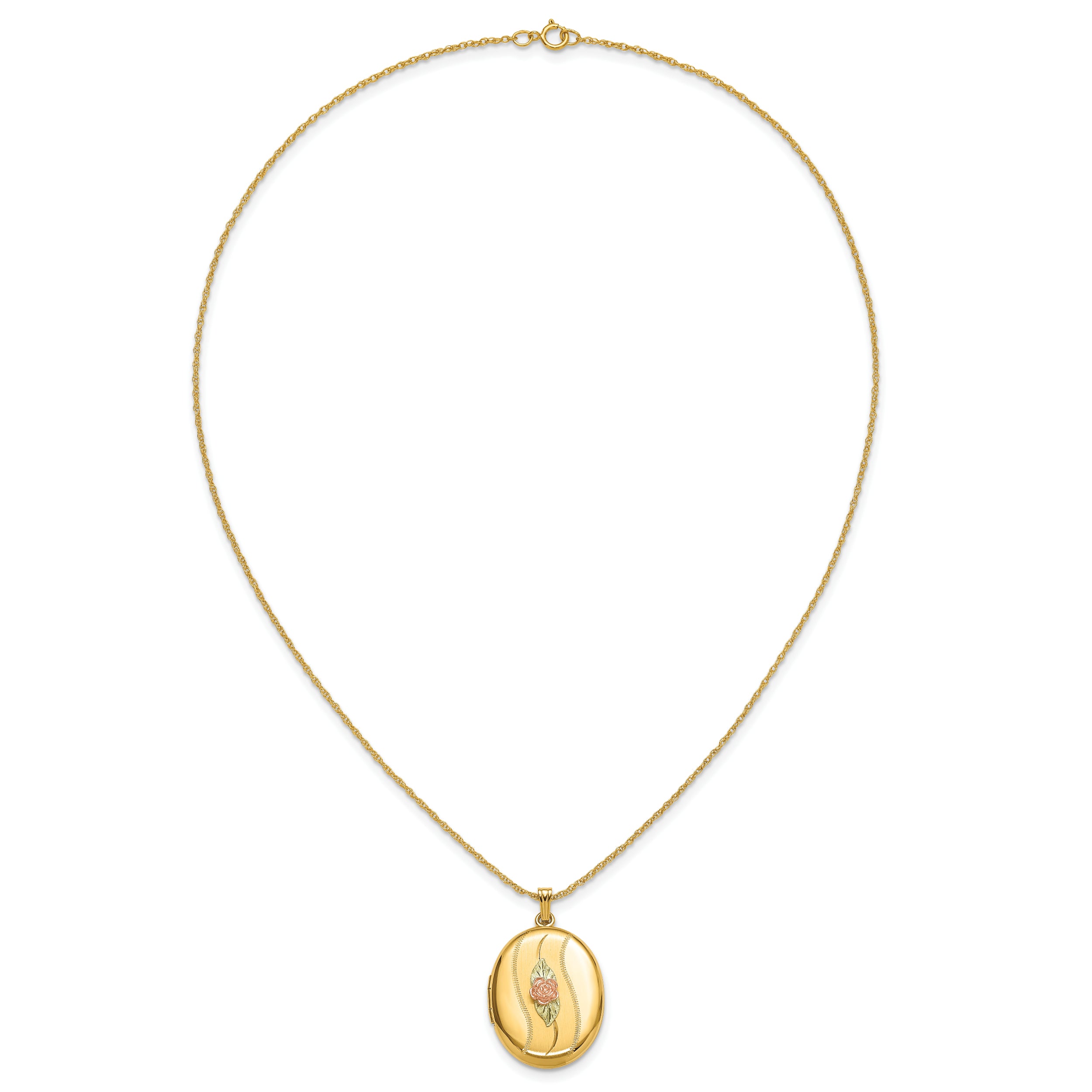 10k Tri Color w/ 12k Accents and 14k Gold-filled Chain Black Hills Locket