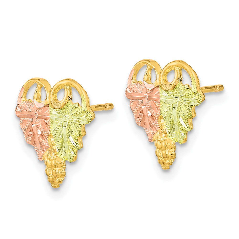 10k Tri Color Tri-Color Black Hills Gold Post Earrings