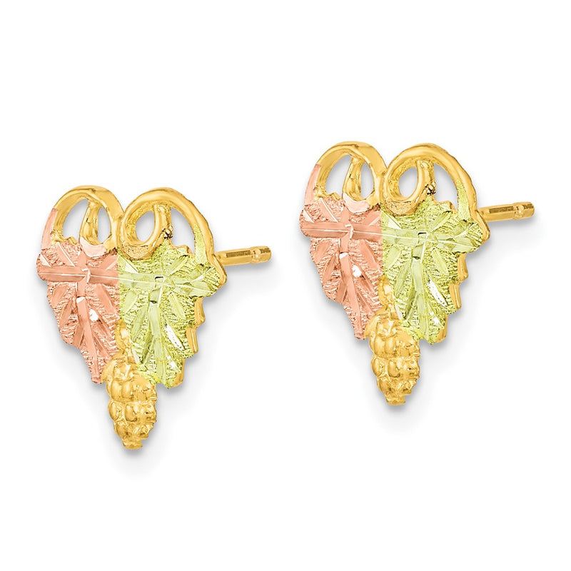 10k Tri Color Tri-Color Black Hills Gold Post Earrings