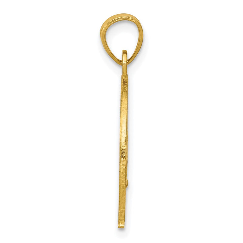 10k Yellow Gold Horseshoe W/Horse Charm