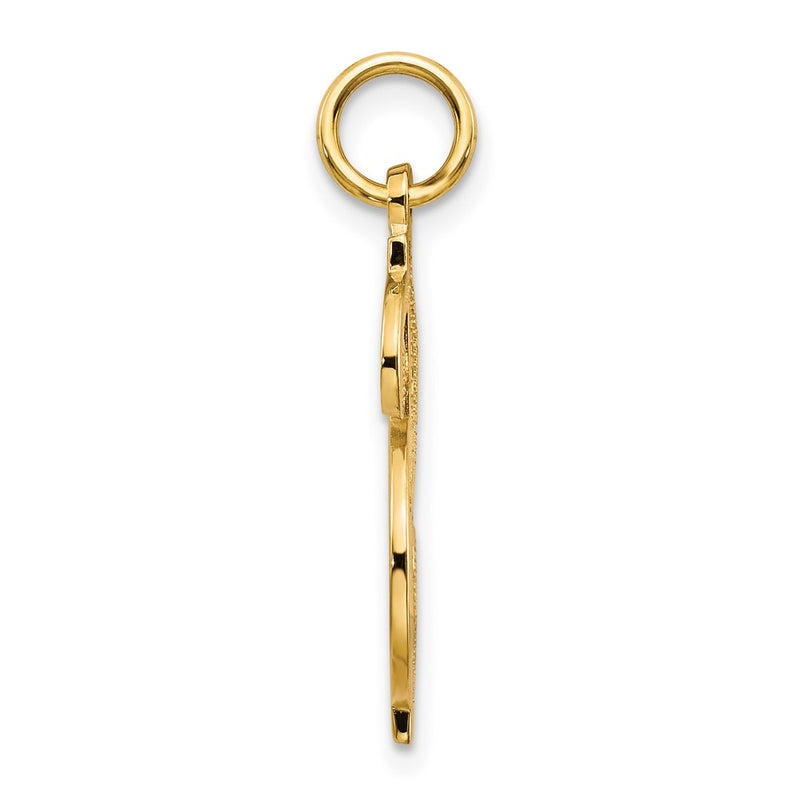 10k Yellow Gold Solid Polished Dollar Sign Charm