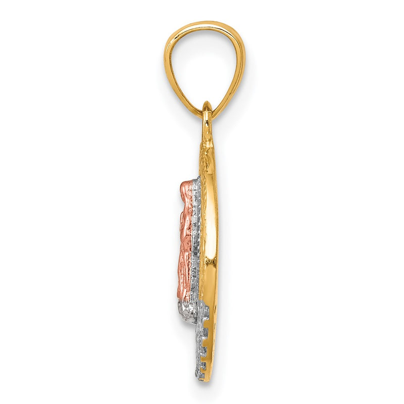 10k Two-tone 10K Two-Tone w/ Rhodium CZ Lady Of Guadalupe Round Pendant