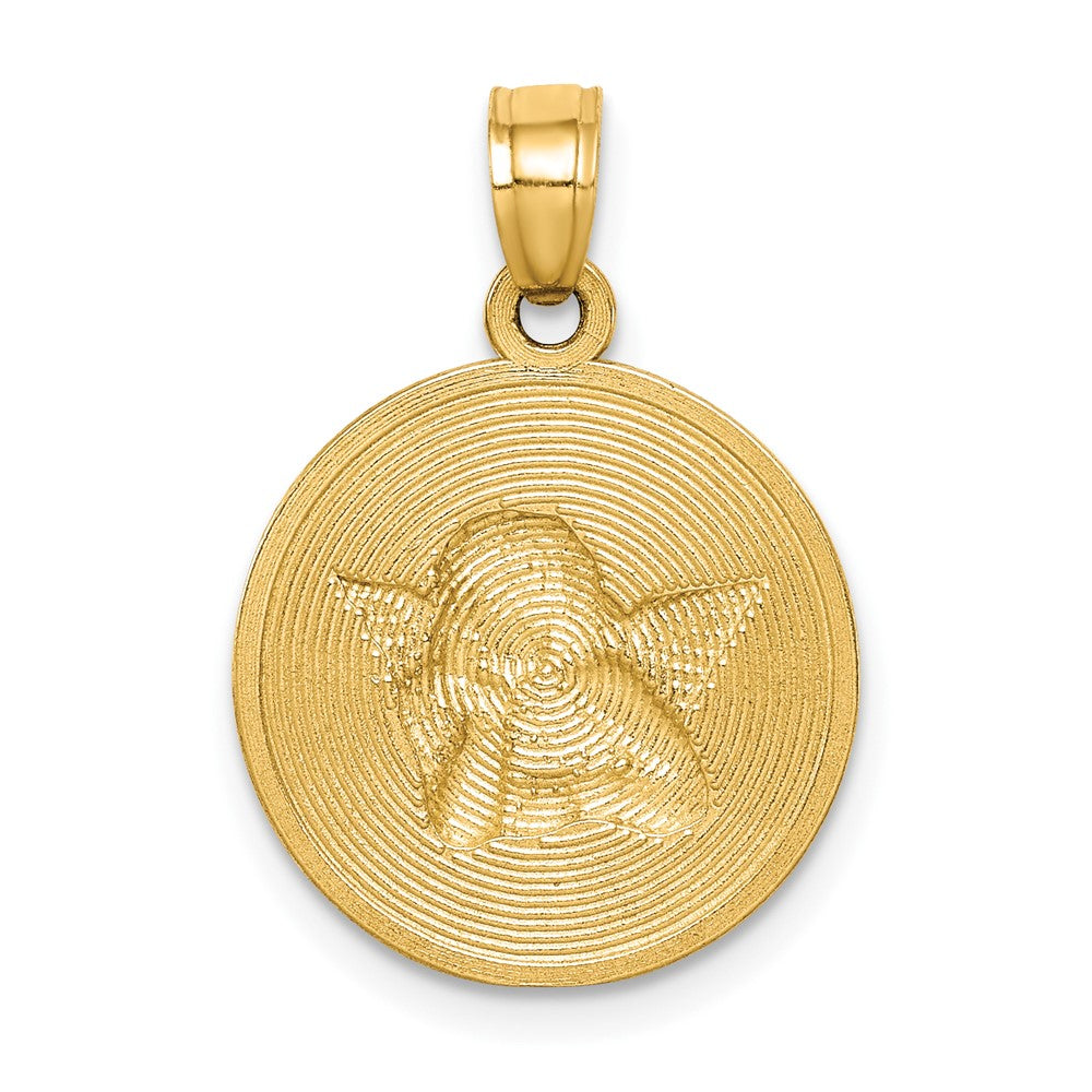 10k Yellow w/Rhodium Polished and Textured Angel Pendant