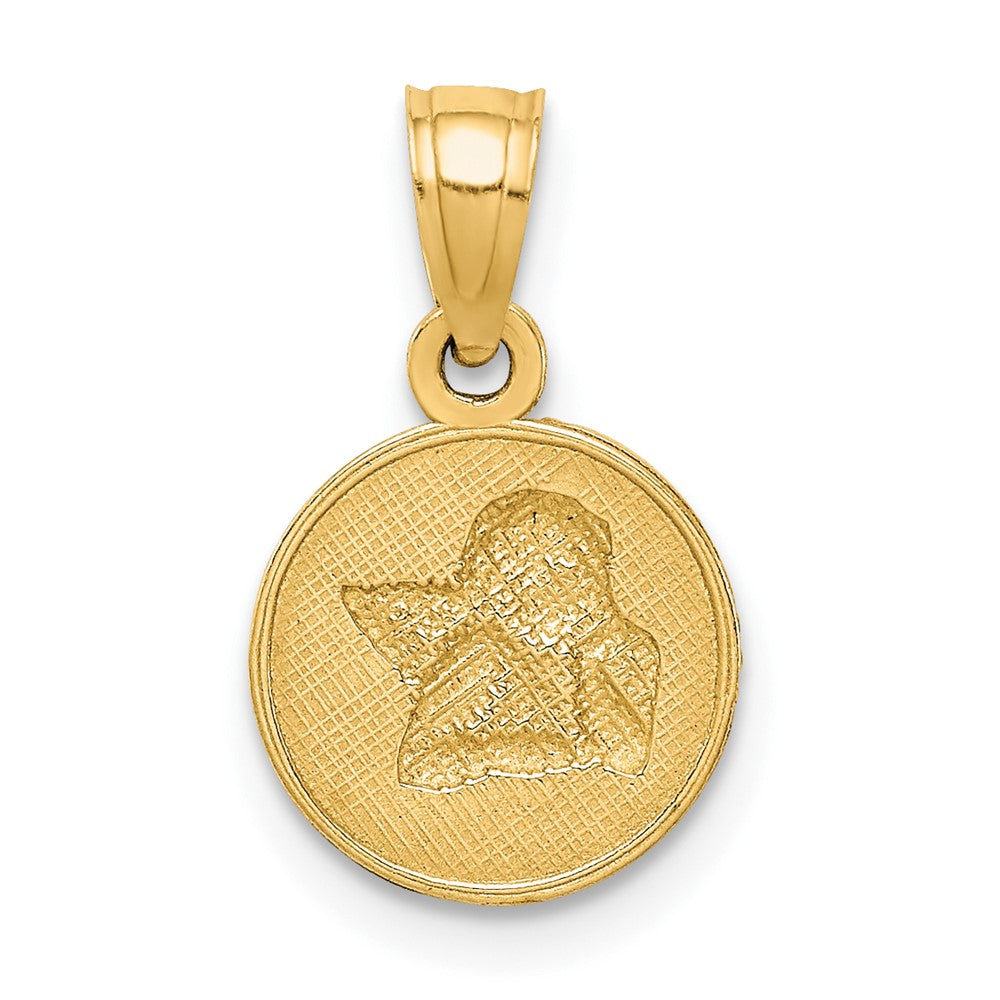 10k Yellow w/Rhodium Polished and Textured Angel Pendant