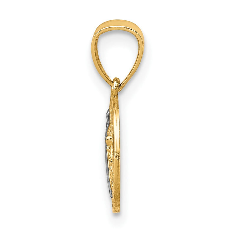 10k Yellow w/Rhodium San Benito Medal Pendant