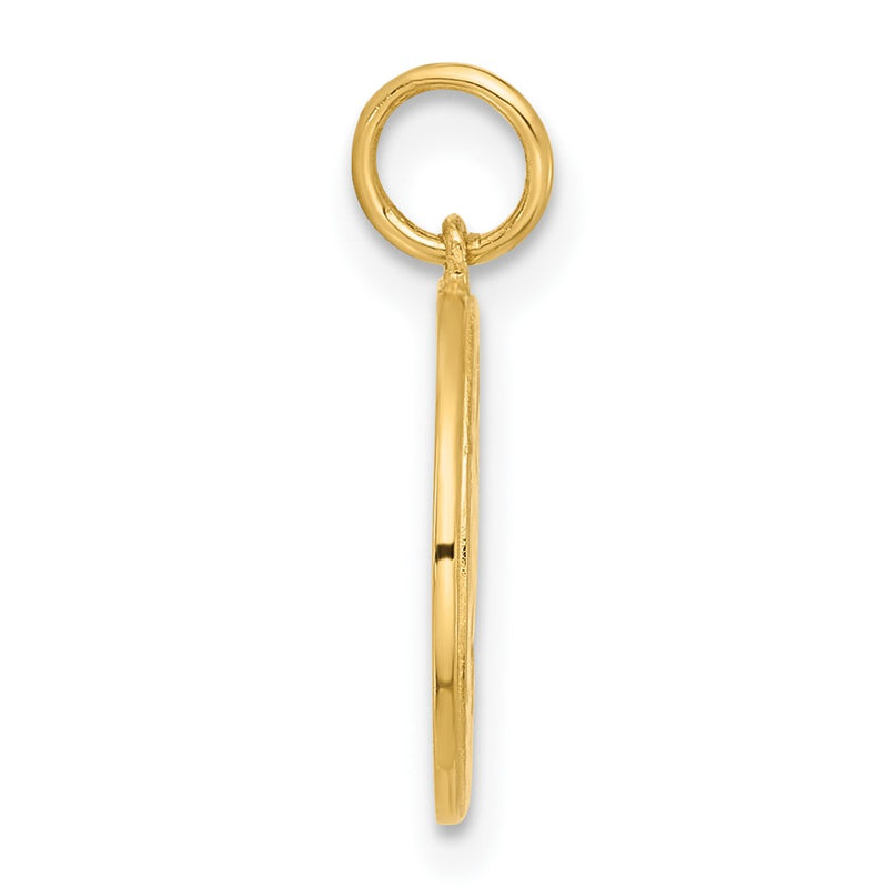 10K Yellow Gold 10K Polished Cz Good Luck Medallion Charm