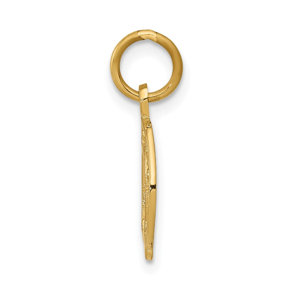 10K Yellow Gold Horseshoe Charm