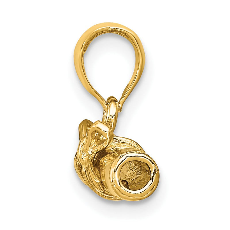 10K Yellow Gold 3-D Diploma Pendant