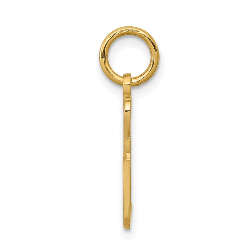 10k Yellow Gold Talking - 2 SEXY Charm