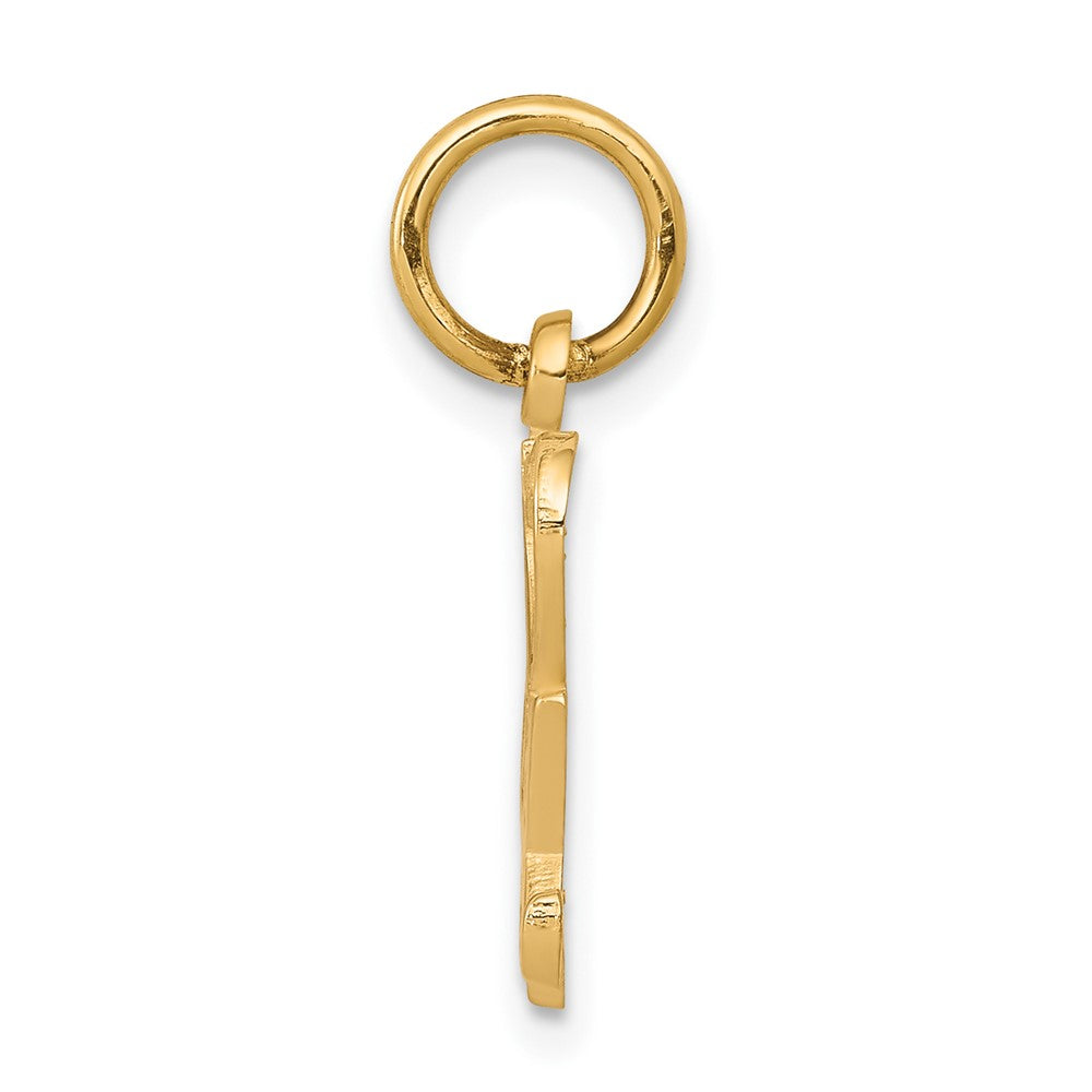 10k Yellow Gold Talking - I HEART SEX Charm