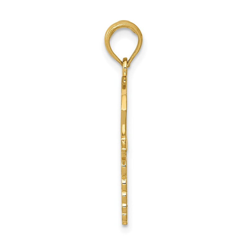 10K Yellow Gold Caduceus W/Nurses Cap Pendant