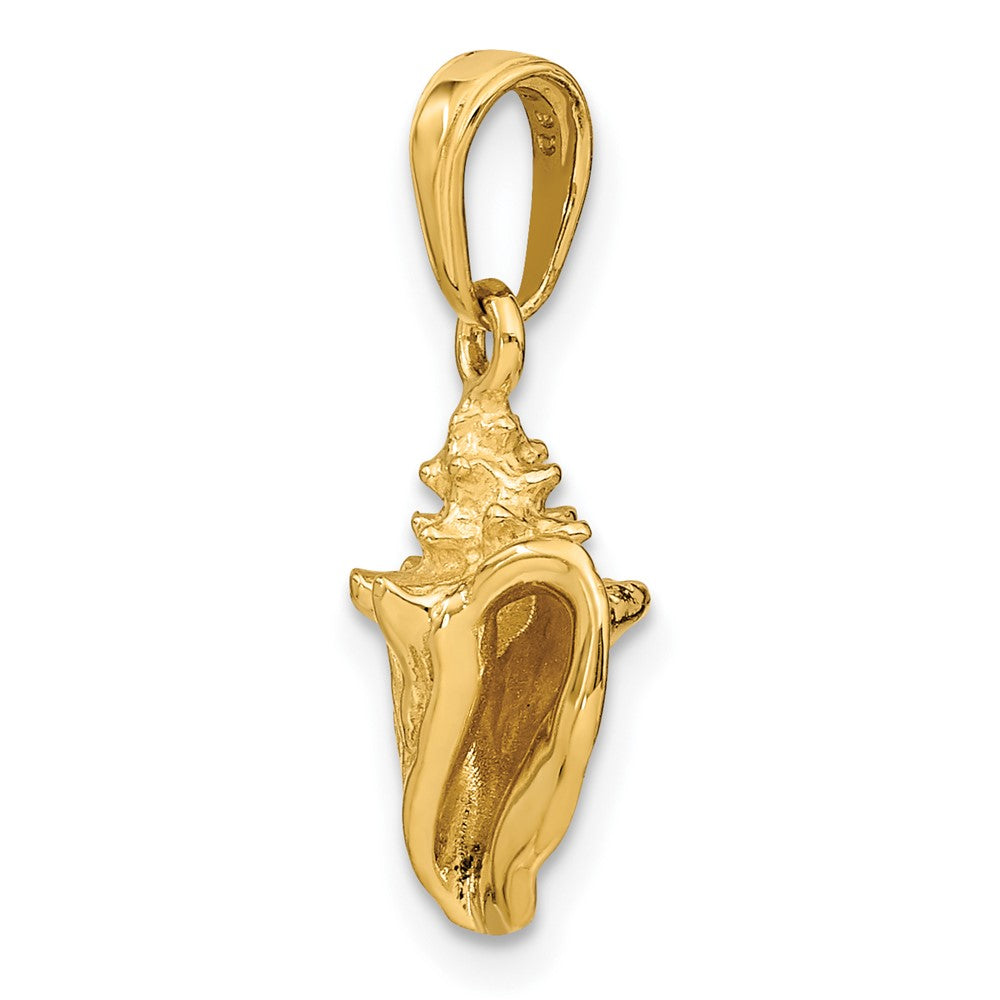 10K Yellow Gold 3-D Conch Shell
