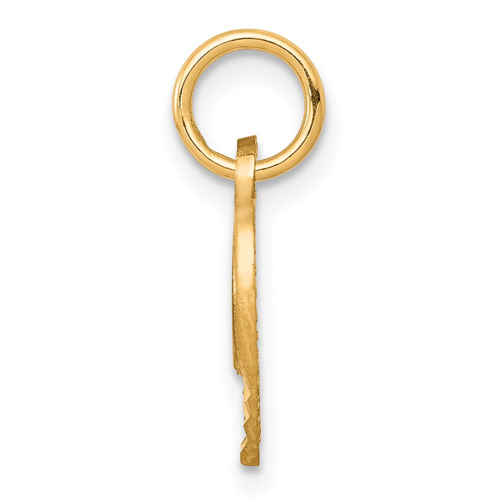 10k Yellow Gold Heart Charm