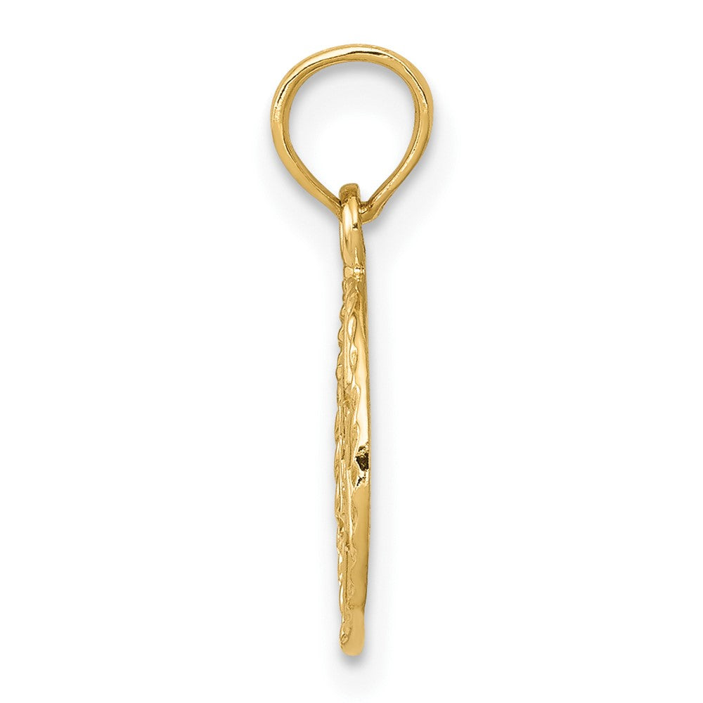 10K Yellow Gold 10K Star Of David In Circle Frame Pendant
