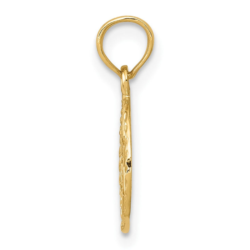 10K Yellow Gold 10K Star Of David In Circle Frame Pendant