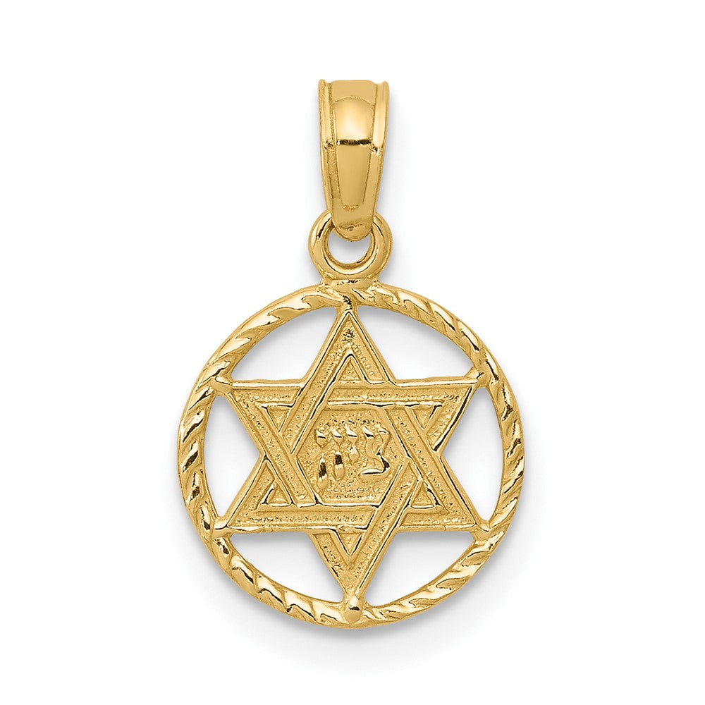 10K Yellow Gold 10K Star Of David In Circle Frame Pendant