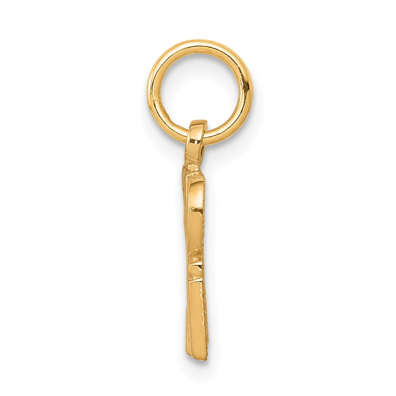 10k Yellow Gold Talking - SPOILED ROTTEN Charm