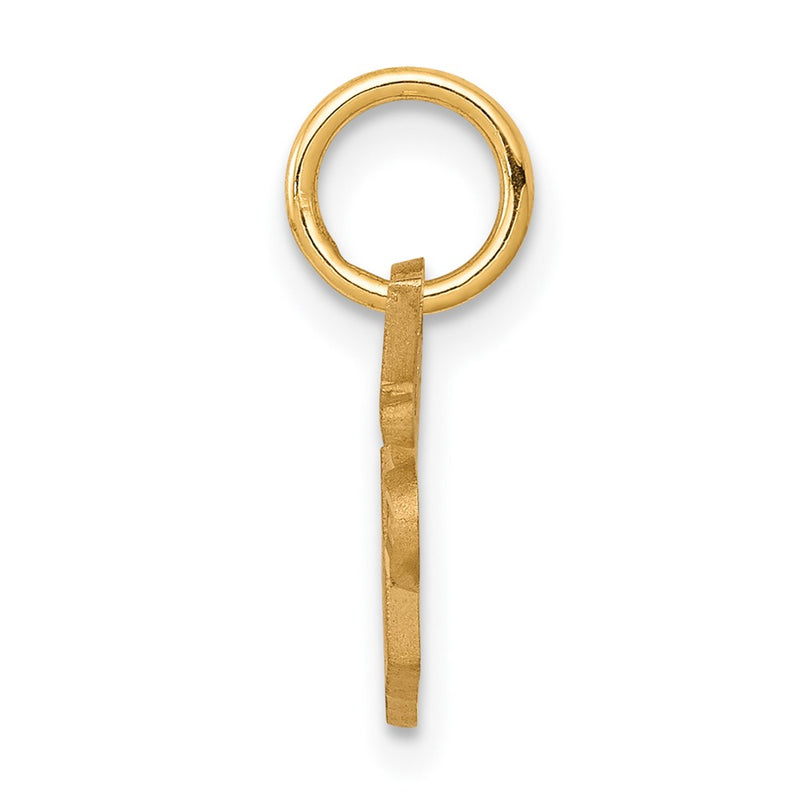 10k Yellow Gold SPECIAL SISTER Charm