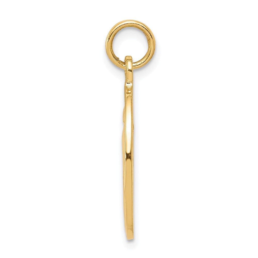 10k yellow gold miraculous medal