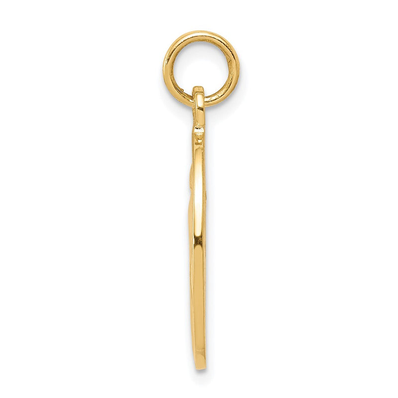 10k yellow gold miraculous medal