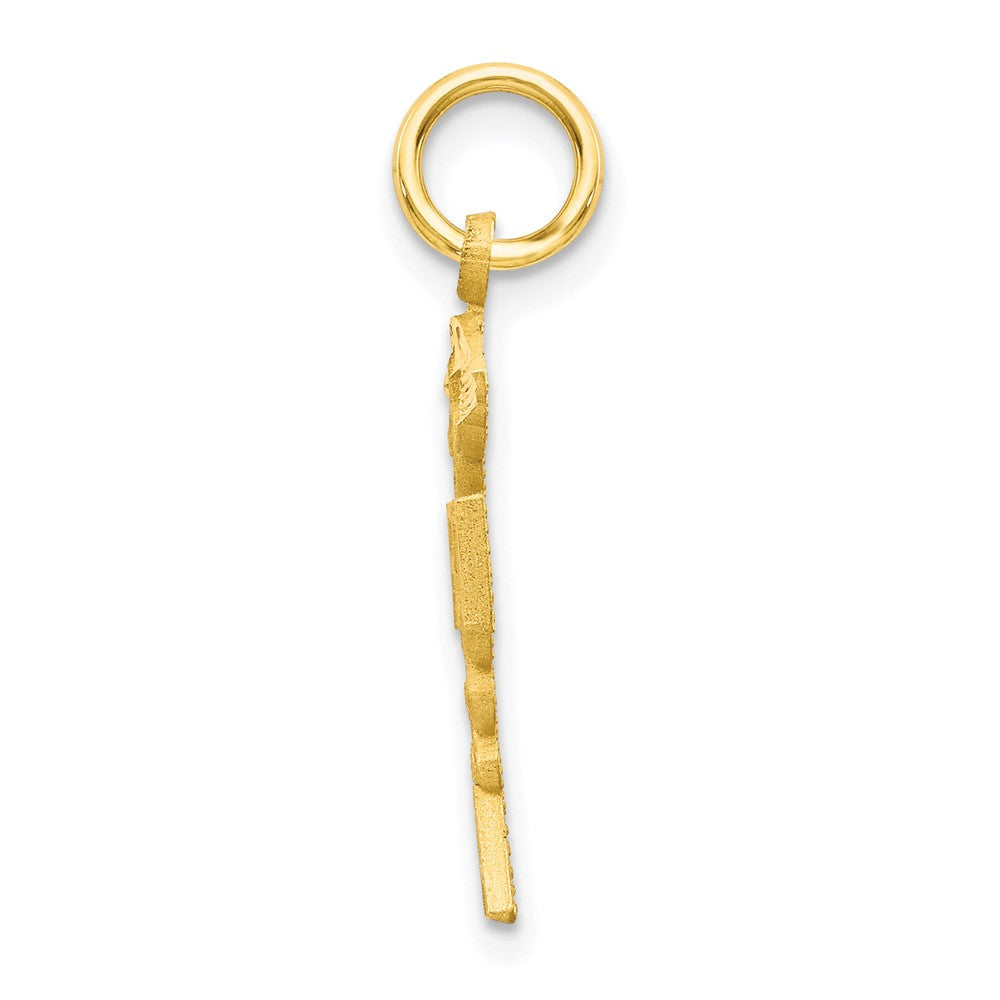 10k yellow gold solid registered nurse charm