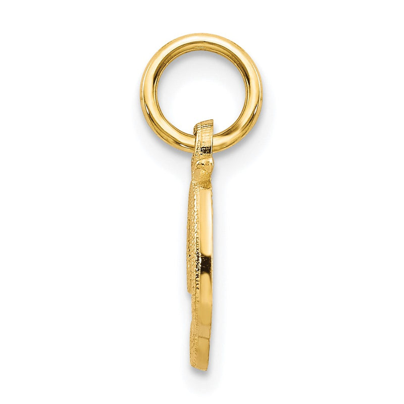 10K Yellow Gold Initial D Charm