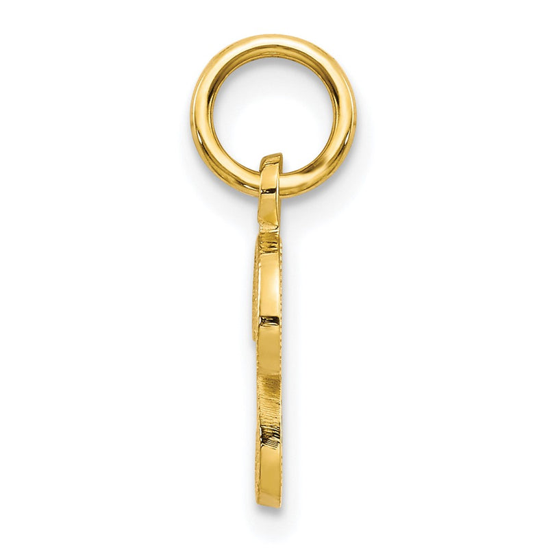 10K Yellow Gold Initial P Charm
