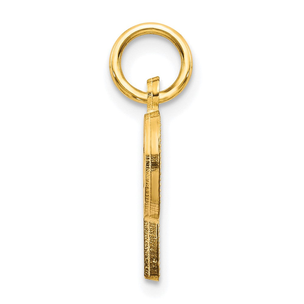 10K Yellow Gold Initial P Charm