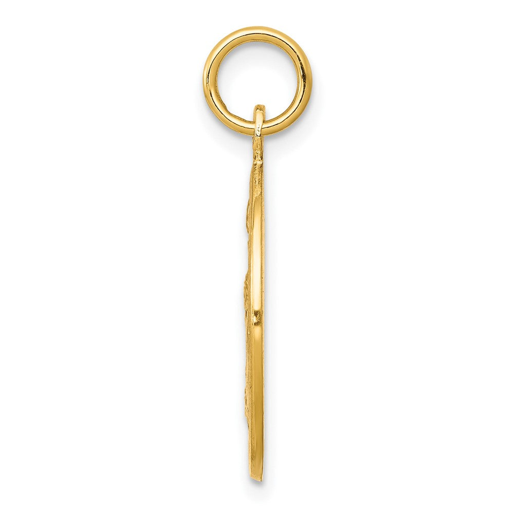 10K Yellow Gold Solid Satin Polished Baptism Disc Pendant