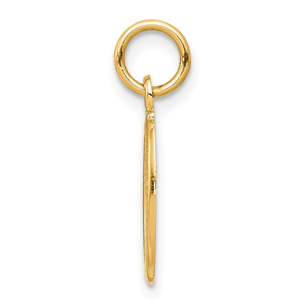 10K Yellow Gold Solid Satin Polished St. Christopher Pendant