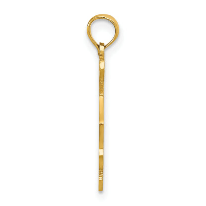 10K Yellow Gold 10K Solid South Carolina State Pendant