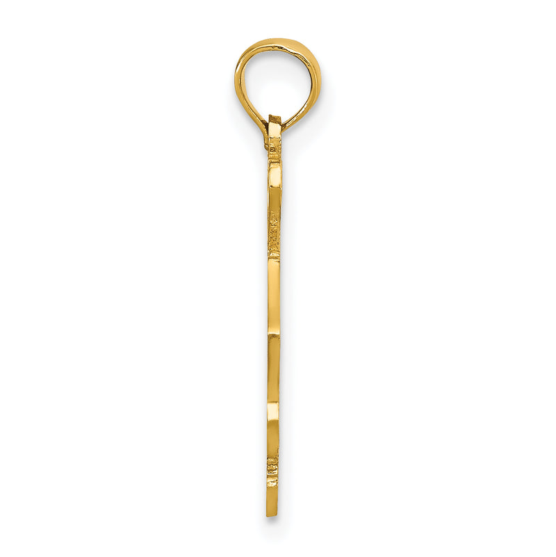 10K Yellow Gold 10K Solid South Carolina State Pendant
