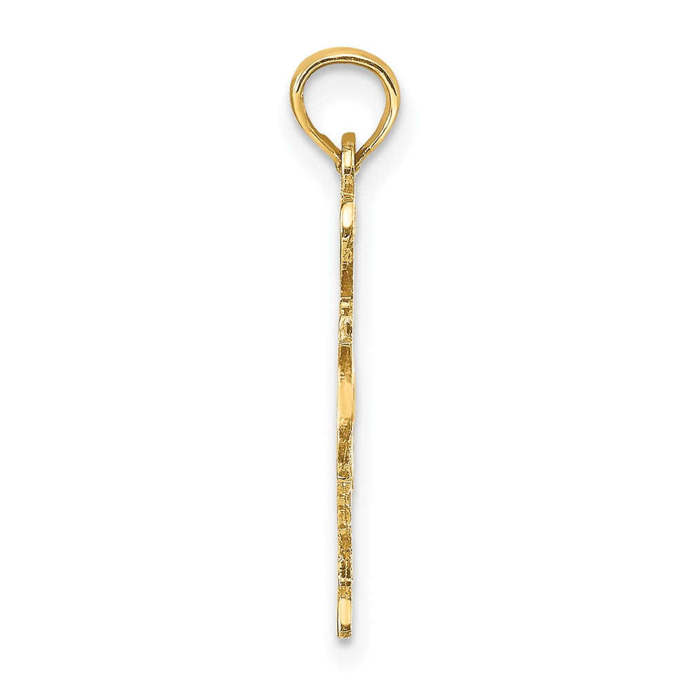 10K Yellow Gold 10K Solid Texas State Pendant