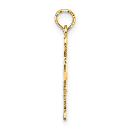 10K Yellow Gold 10K Solid Texas State Pendant