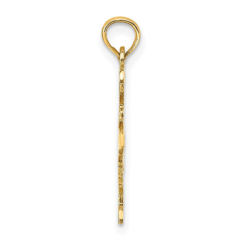10K Yellow Gold 10K Solid Texas State Pendant