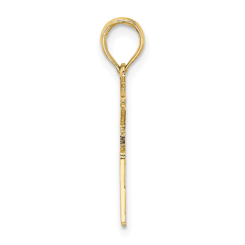 10K Yellow Gold Registered Nurse Charm